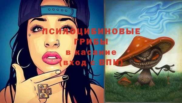 сатива Волоколамск