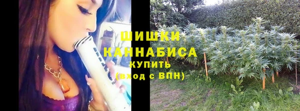 сатива Волоколамск