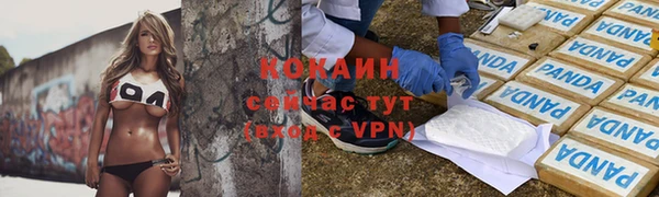 сатива Волоколамск