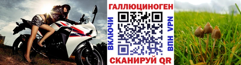 Купить где  Пошехонье  Галлюциногенные грибы мицелий 